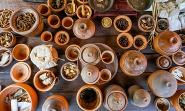 แพทย์แผนไทยจัดมหกรรมสมุนไพรยกระดับชุมชน